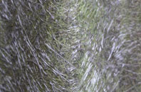 Winterfold fibreglass roof work